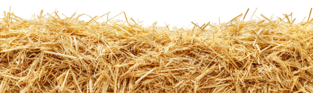 Close-up of a pile of dried straw