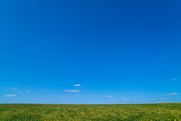 Green meadow with yellow flowers under clear blue sky. Landscape photography with copy space. Nature and environment concept. Design for banner, poster, wallpaper, header, postcard, greeting card