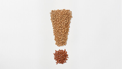 Creative arrangement of flaxseeds creating a striking design