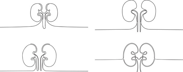 Set of human organ kidney one continuous line art, Vector illustration, One line art, Line art graphic style