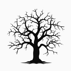 Obraz premium Silhouette of a large deciduous tree with bare branches reaching outwards silhouette