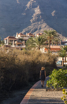 Scenic view of Valle Gran Rey in La Gomera Island, Canary Archipelago, Spain, Europe	