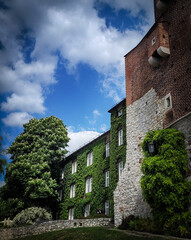 Castle covered with greenery