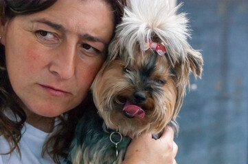 Una mujer sostiene a un peque&ntilde;o Yorkshire Terrier con un lazo en la cabeza. La mascota se lame la lengua mientras la abrazan, demostrando cari&ntilde;o y compa&ntilde;&iacute;a.