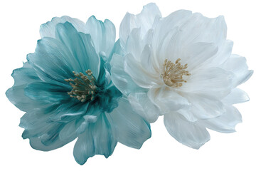 Two large, detailed flowers, one teal, one white, in close proximity.  Their delicate petals and golden centers are in sharp focus against a pure black background