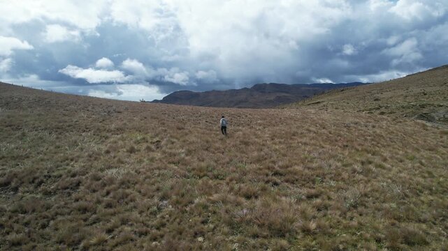 Paisajes del parque nacional natural los nevados, en donde se observan los frailejones, humedales y nevado del Tolima, nevado del Ru&iacute;z y nevado santa Isabel