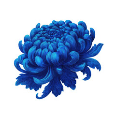 Vibrant, detailed illustration of a deep blue chrysanthemum.  A stylized,  flower with textured petals,  and a rich, saturated blue hue.  It sits on a white background with a white border