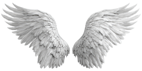Pair of detailed, symmetrical white angel wings