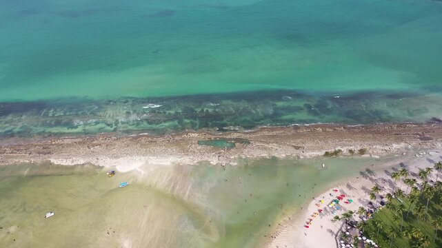 Wonderful aerial view of Praia dos Carneiros beach with stunning landscape with sand banks, palm trees, boats and turquoise waters near Recife, Pernambuco State, Brazil 