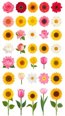 Colorful floral illustrations (2)