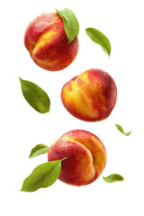 Three peaches with leaves, in mid-air
