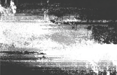Abstract black and white digital glitch art with horizontal lines and noise.