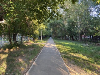Paved Path Through a Lush Green Park