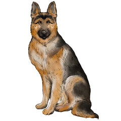 Watercolor Dog Clipart, Hand Painted Puppy PNG, Cute Pet Illustration, Whimsical Watercolor Dogs, Digital Dog Art Elements