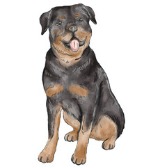 Obraz premium Watercolor Dog Clipart, Hand Painted Puppy PNG, Cute Pet Illustration, Whimsical Watercolor Dogs, Digital Dog Art Elements