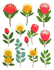 Colorful floral collection (3)