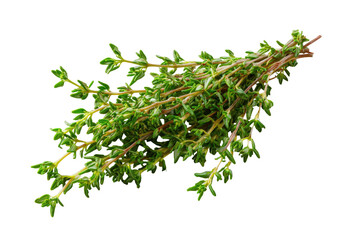 Fresh thyme sprigs, vibrant green,  close-up