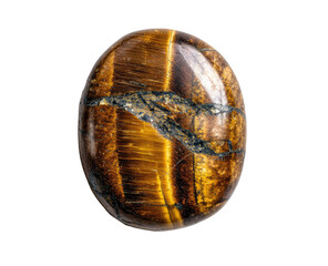 Polished oval tiger's eye gemstone (1)
