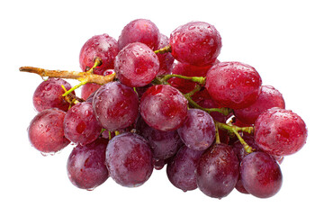 Fototapeta premium Red grapes, glistening with water droplets, cluster on vine