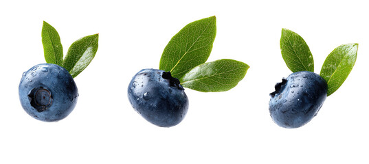 Three blueberries with leaves