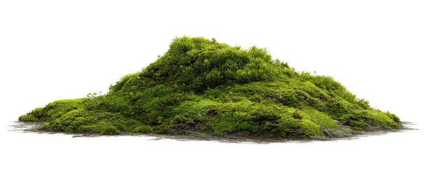 Lush green moss mound, isolated on black background