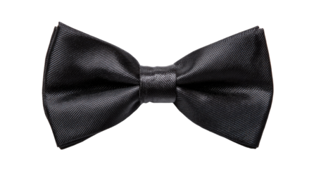 Black bow tie, smooth fabric, formal wear