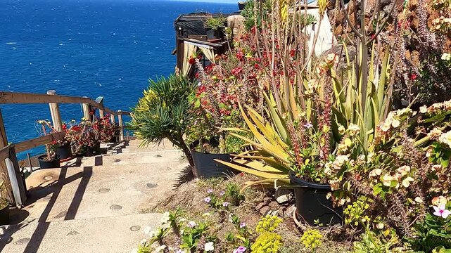 Liebevoll bepflanzte H&auml;user direkt an der Steilk&uuml;ste von La Palma an dem Puerto de Puntagorda