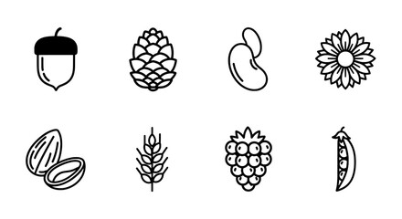 Collection of Line Art Illustrations of Organic Flora and Seed Elements
