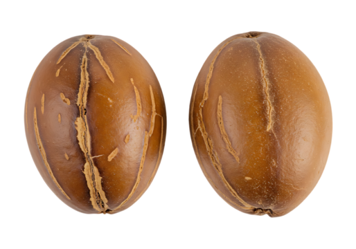 Two shea nuts isolated on transparent background