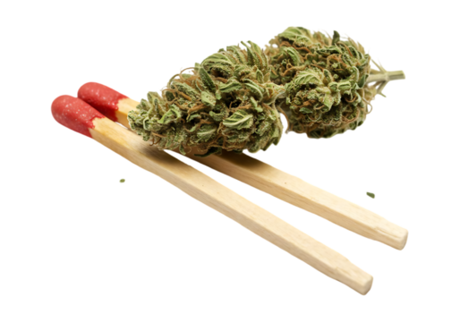Cannabis bud resting on two matches isolated on transparent background
