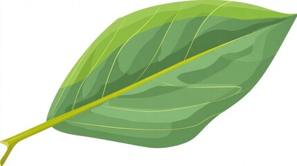Obraz premium Single fresh green leaf, macro isolated on a white background, perfect for nature and organic projects