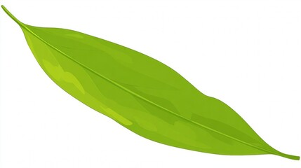 Obraz premium Close-up macro of a single green leaf with water drops isolated on a white background