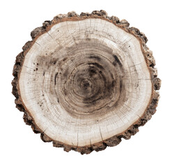 Close-up of a tree trunk cross-section.  Natural wood grain, light and dark tones, circular shape