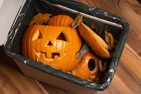 Orange pumpkins with carved faces are discarded in a trash bin, surrounded by fallen leaves, showcasing the aftermath of Halloween festivities and seasonal celebrations