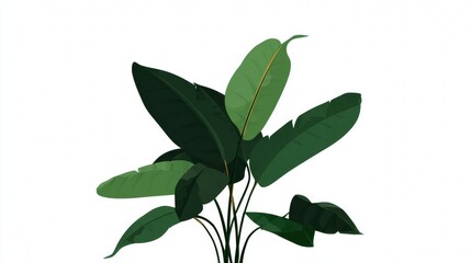 Obraz premium Isolated, fresh green sage leaves on a white background show the vibrant life and healthy growth of this fragrant herb