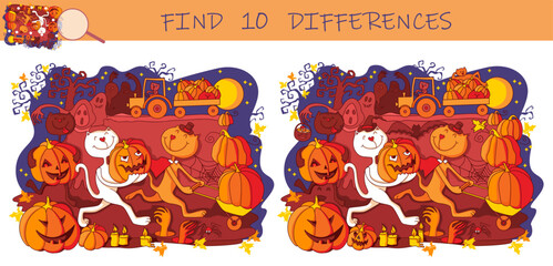 Find the differences game. Halloween night with Cats, Pumpkins, Ghosts. Jack-O'-Lantern Halloween celebration. Hand drawn vector illustration.