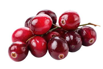 Close-up of fresh cranberries