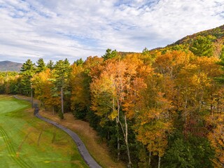 Aerial view of autumn foliage with a winding path.