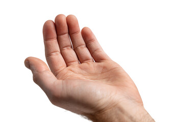 Open palm, slightly upward angle