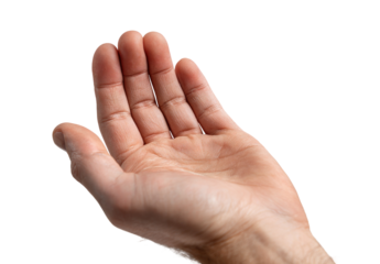 Open palm, slightly upward angle
