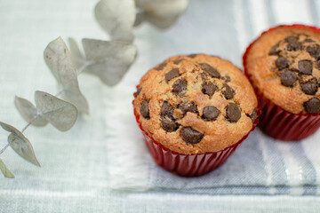 Plano a detalle de dos panques de vainilla con chispas de chocolate