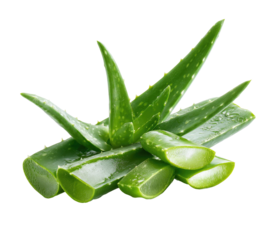 Fresh aloe vera slices, vibrant green, close-up (1)