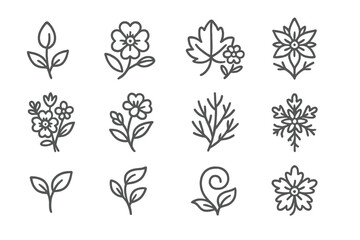 Seasonal Floral Icons. Line style icons of seasonal floral elements: spring bud, summer blossom, autumn leaf with bloom, winter