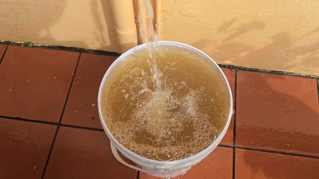 Polluted water runs into a white bucket from a tap or pipe, very brown and discolored. 