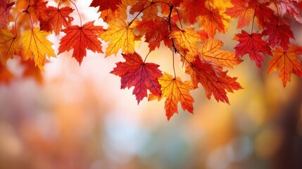 Fototapeta premium Vibrant red, orange, and yellow leaves hang from branches, forming a beautiful canopy. The warm colors of autumn create a peaceful atmosphere in the serene forest.