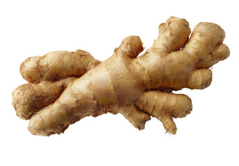 A whole ginger root, light beige, with knobby, irregular protrusions, lies horizontally on a black background.  The root's texture is clearly visible