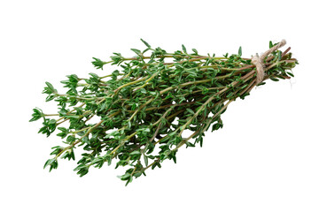 Fresh thyme sprigs bound together