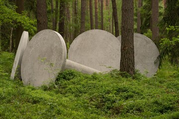 Betonowe kręgi w lesie