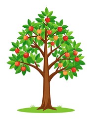 Naklejka premium Vibrant apple tree illustration (1)