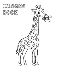 Fototapeta premium Black and white line drawing of a giraffe eating leaves designed for a children's coloring book page